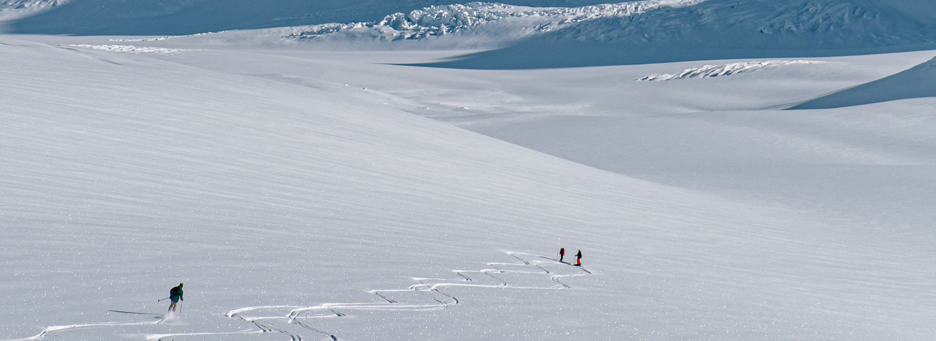 Ski The Tasman banner